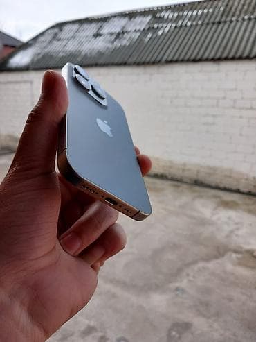 iphone 12 i: IPhone 15 Pro, 256 GB, Gümüşü, Face ID — 2