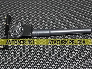 Antenna baqaj üçün 🚙🚒 Ünvana və Bölgələrə ödənişli çatdırılma — 1