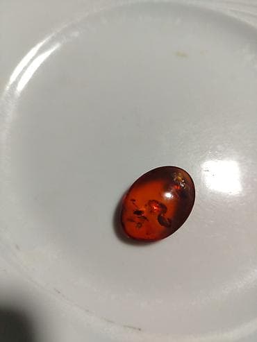 dollar klonu: Kəhrəba — 1