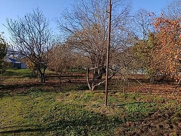 qebelede torpaq: 4 sot, Tikinti, Makler, Kupça (Çıxarış) — 5