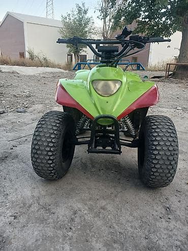 Motonəqliyyat: ATV (kvadrotsikl) – benzin mühərrikli, 4 təkərli - Rəng — 4