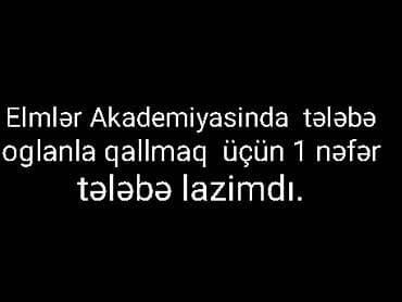 BDU elmlər yaxinliginda 1nəfər tələbə oglanla qalmaga 1 nəfər tələbə lalafo.az -da BDU elmlər yaxinliginda 1nəfər tələbə oglanla qalmaga 1 nəfər tələbə