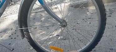 velosiped trinx: Uşaq/yetkin yeniyetmələr üçün şəhər/trek tipli velosiped - — 3