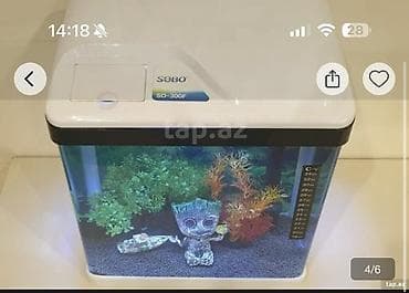 Gəmiricilər: Kompakt akvarium dəsti - Şəffaf divarlı, kvadrat formalı akvarium — 2