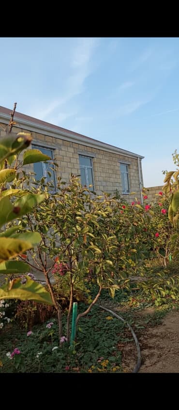 qəbələ kirayə evlər günlük: 4 otaqlı, 400 kv. m, Təmirsiz — 1