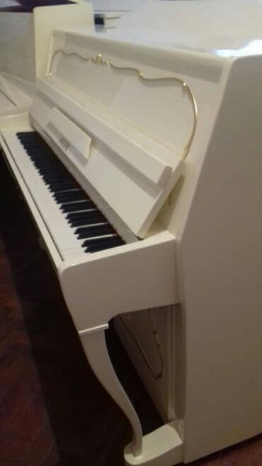 piano dersleri baki: Pianino Rusya stehsalı. Əla vəziyyədə. Cadirilma və köklənmə qiymətə — 4