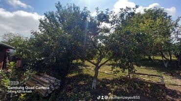 ismayıllıda satılan evlər: 6 otaqlı, 150 kv. m, Orta təmir — 21