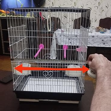 popugay satisi: Salam. Iri qefes satilir. Eziyi sinigi pasi yoxdur. Tezeden secilmir — 10