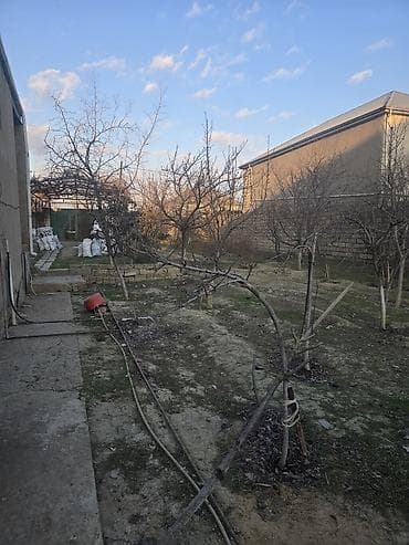 100 kv: 16 sot, Kənd təsərrüfatı, Mülkiyyətçi — 5