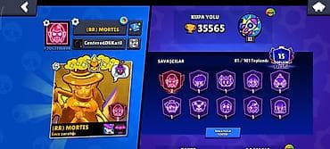 Brawl Stars hesabı – yüksək inkişaflı və zəngin kontent - Kupa yolu