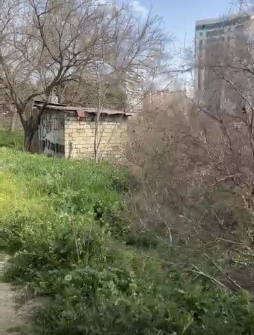 yeni əmlak az: 24 sot, Tikinti, Mülkiyyətçi, Kupça (Çıxarış) — 8