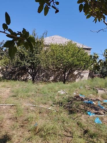 xırdalanda həyət evi: 10 sot, Tikinti, Mülkiyyətçi, Kupça (Çıxarış), Bələdiyyə, Texniki pasport — 9