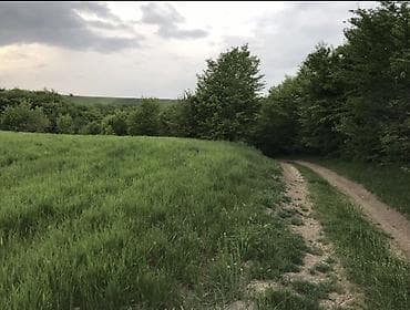 qubada ucuz evler: 130 sot, Kənd təsərrüfatı, Mülkiyyətçi, Kupça (Çıxarış) — 5