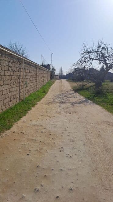 xacmaz torpaq bazarında: 8 sot, Barter mümkündür, Bələdiyyə — 3