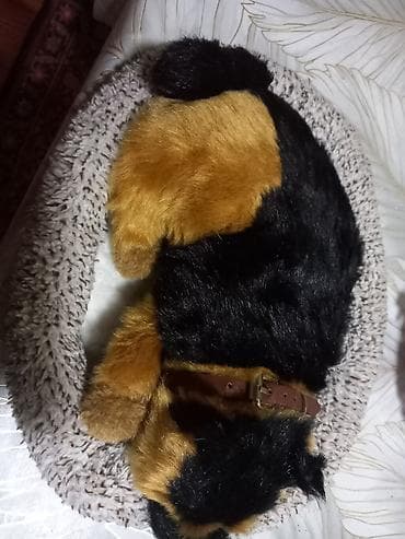 yolka oyuncagi: Fiqur, rəng - Qəhvəyi — 2