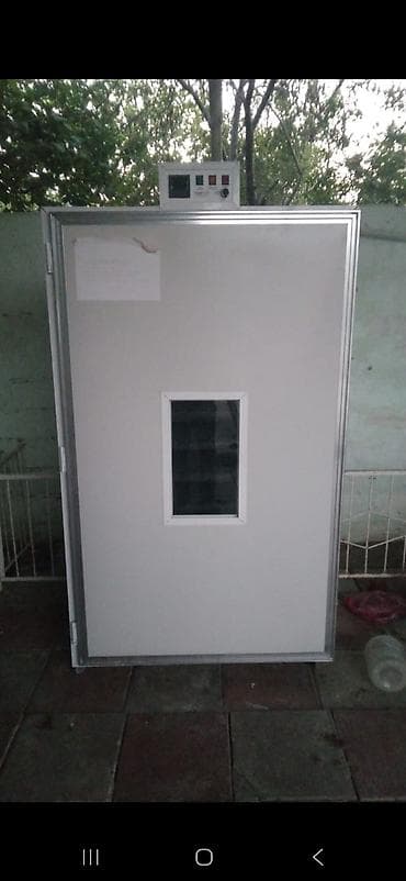 1500 yumurta, Bütün növ quşlaq üçün