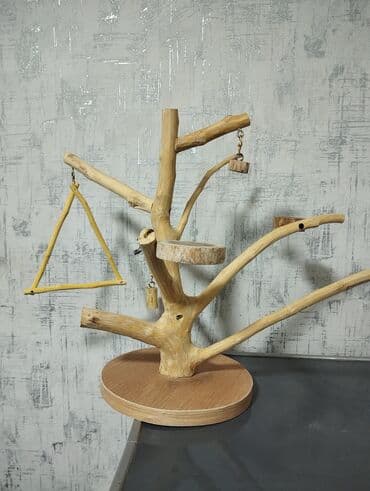 daniwan papuqay: Papuqay stend — 4