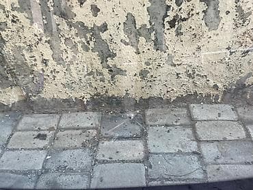 katalizator ford focus: Ön patpres, lobovoy, Kia OPTİMA, 2011 il, Ünvandan götürmə — 2