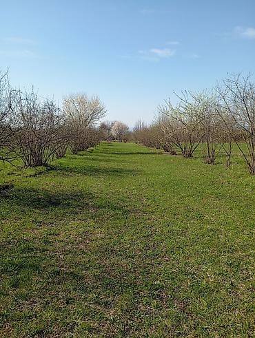 1 sot neçe metrdir: Kənd təsərrüfatı — 2