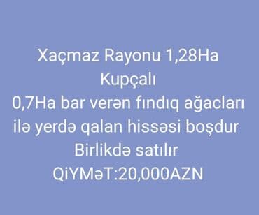xacmaz torpag: 1280 соток, Для сельского хозяйства, Собственник, Купчая — 1