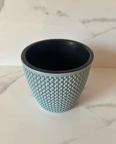 Уличные растения: Dipçəklər plasmas ela yeni 15 sm hündürlük 3 rəngi var yanlız birnin — 4