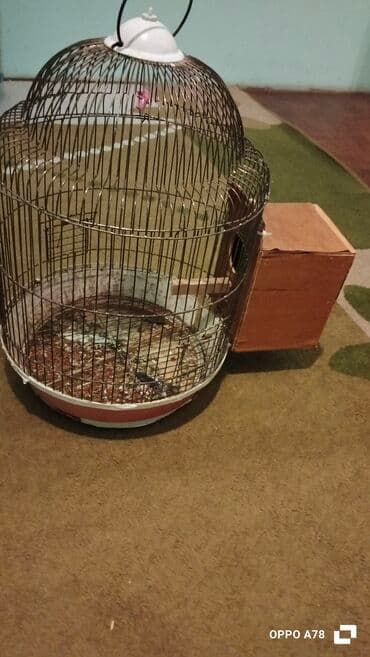 cücə qəfəsi: Quş qəfəsləri dəsti 1) Dairəvi metal qəfəs - Günbəz formalı, asmaq — 1