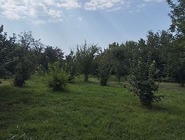 kiray: Kənd təsərrüfatı, Kommunal xətlər qoşulmayıb — 3