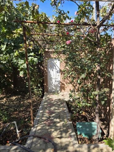 дом баку: 4 otaqlı, 100 kv. m, Yeni təmirli — 23