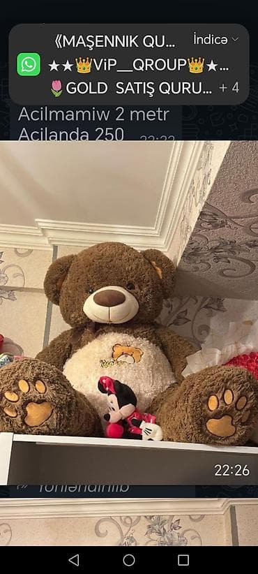 kinder oyuncaqlari: Böyük ölçülü plyuş oyuncaqlar – ayı və panda - Növ: iri ölçüdə plyuş — 1
