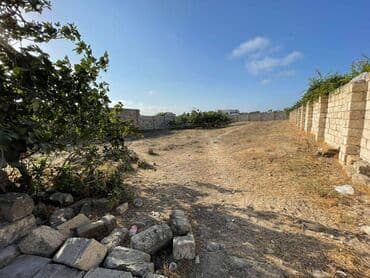 binə qəsəbəsi: 12 sot, Kupça (Çıxarış) — 12