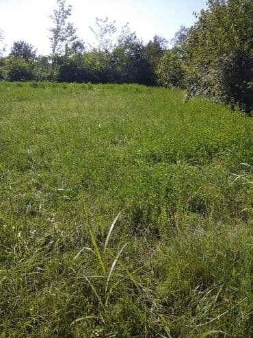 20 sot, Tikinti, Mülkiyyətçi, Kupça (Çıxarış) lalafo.az -da 20 sot, Tikinti, Mülkiyyətçi, Kupça (Çıxarış)