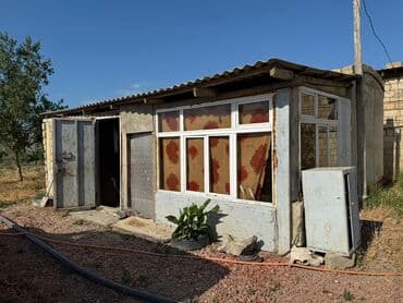 Lexus: 30 sot, Kənd təsərrüfatı — 5