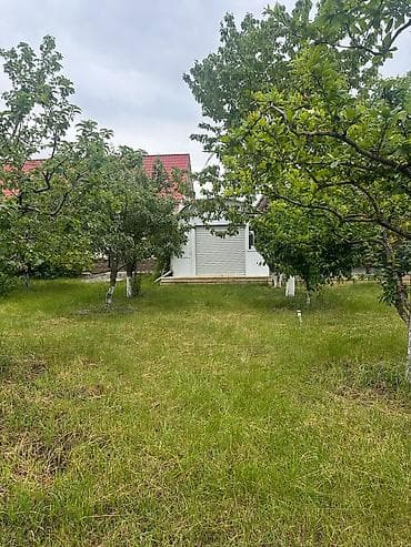 Bağ evlərinin satışı: Bakı, 1200 kv. m, 7 otaqlı, Hovuzsuz, Su — 5