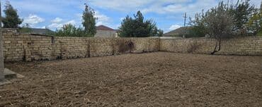 Kənd təsərrüfatı, İşıq