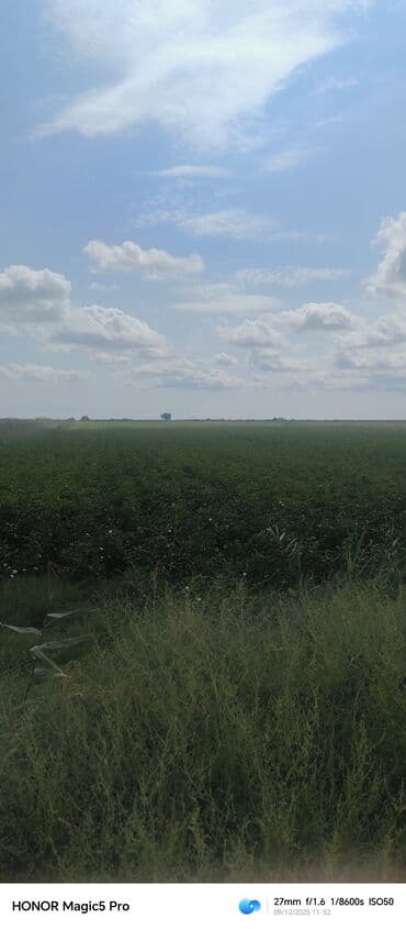 mingecevirde kiraye evler 2019: 257 sot Kənd təsərrüfatı — 13