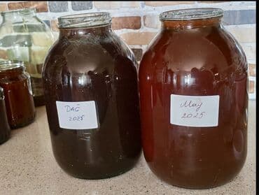 1 ci sinif mekteb levazimatlari: Təbii Qax balı, tam təbii, heç bir qatqı yoxdur. Elan realdır, ödəniş — 8