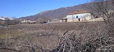11 sot, Kənd təsərrüfatı, Mülkiyyətçi, Kupça (Çıxarış) lalafo.az -da 11 sot, Kənd təsərrüfatı, Mülkiyyətçi, Kupça (Çıxarış)