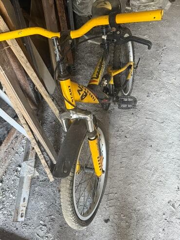 safari uşaq velosipedləri: İşlənmiş İki təkərli Uşaq velosipedi 20", sürətlərin sayı: 1, Ünvandan götürmə — 1