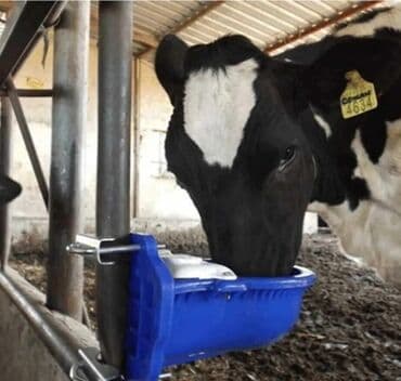 heyvan yemlərinin satışı: Yem qabı, Su üçün, Heyvanlar üçün, Ödənişli çatdırılma, Rayonlara çatdırılma, Ünvandan götürmə — 2