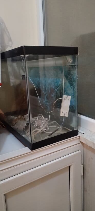 balıq akvaryum: Şüşə akvarium seti - Ölçü təxmini: orta həcmli düzbucaqlı akvarium — 1
