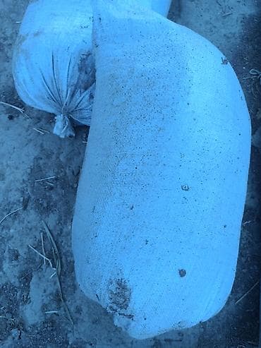 tebii guller: Ağaclar üçün quru peyin - Məhsul: quru, ələnmiş təbii peyin - Tətbiq — 2
