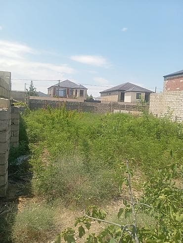 nardaranda: 13 sot, Tikinti, Mülkiyyətçi, Kupça (Çıxarış) — 3