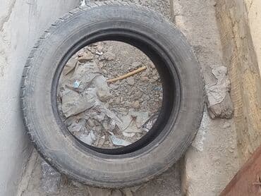 шины дордой моторс: Шины — 3