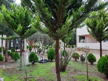 lökbatan həyət evi: 200 kv. m, 5 otaqlı, Kombi, Qaz, İşıq — 19