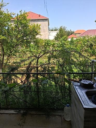 bine sovxoz evler: 12 sot, Mülkiyyətçi, Kupça (Çıxarış) — 3