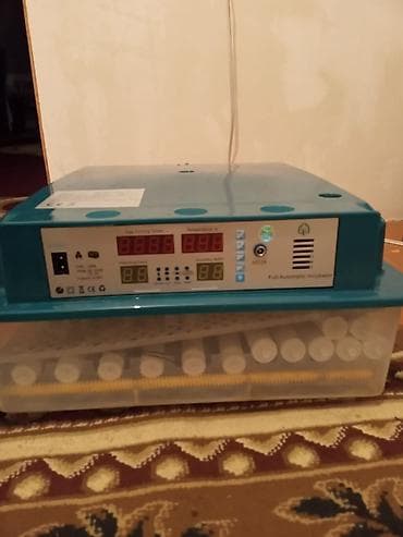 İnkubatorlar: Bu tam avtomatik inkubator yumurtaların inkubasiyası üçün nəzərdə — 2