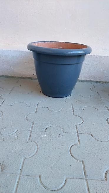 lladro baku: Dibçəklər. bir ədədi 15 manat. 8 ədəddir. Əla vəziyyətdədir — 8