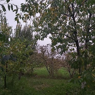 Heyetyani sahe-Tikinti teyinatli, ev, ve.s heyetyani sahe 6sot