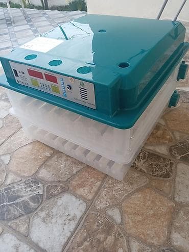 Оборудование для производства: Полностью автоматическая — 3