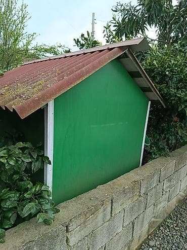 qarderob yuvası: Göy rəngli taxta quşxana/sərçəxana - Material: taxta karkas, taxta — 5